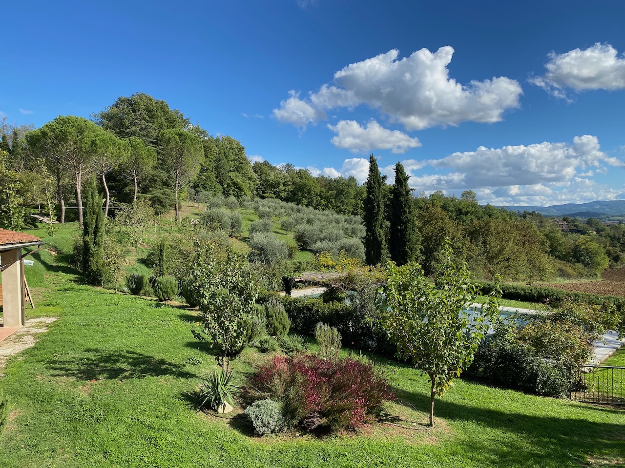 La Ceruglia Feature